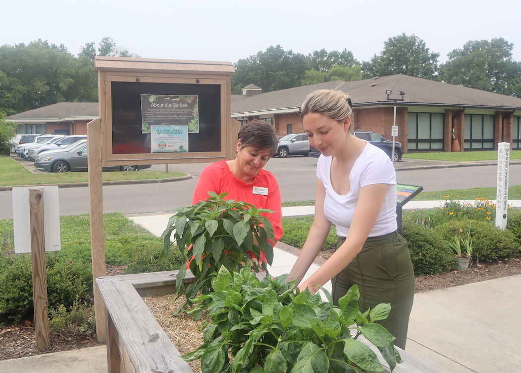 Library gardening program for children begins Local News