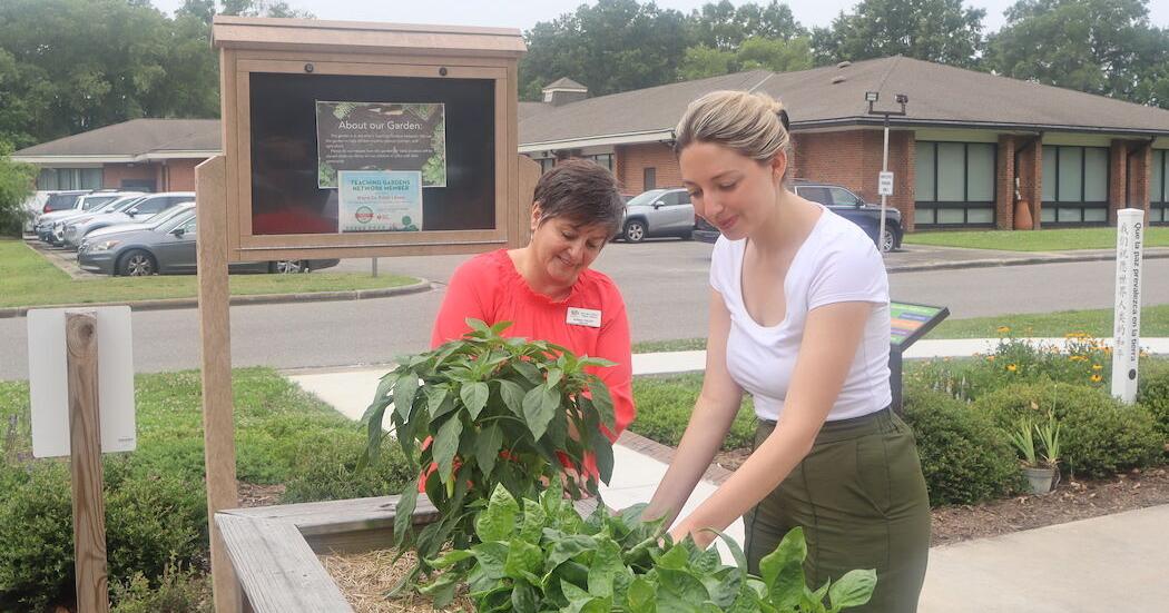 Library gardening program for children begins - Vimarsana News