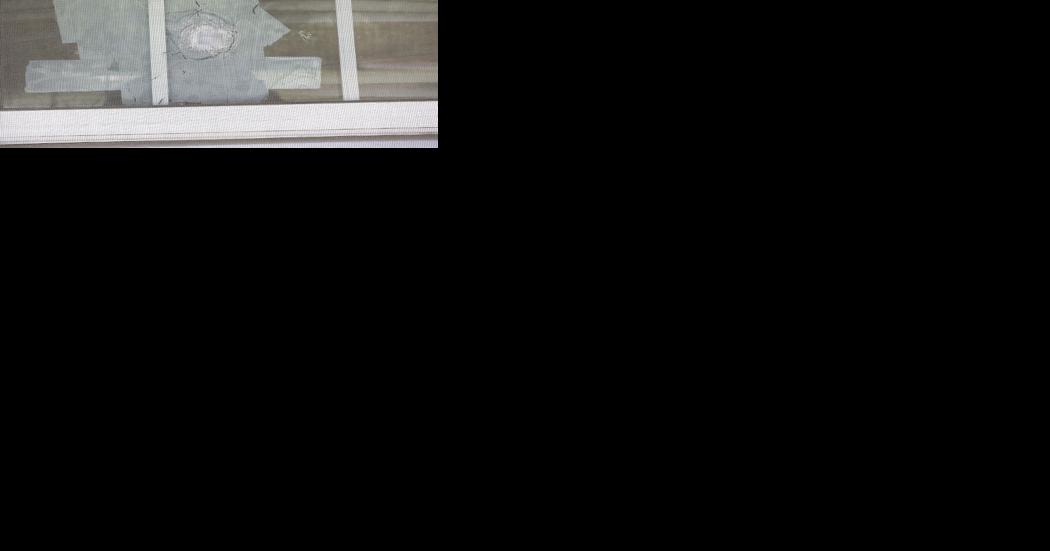 Police investigate Evergreen apartment shooting - Vimarsana News