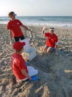 Holden Beach Turtle Patrol educational programs to start June 29