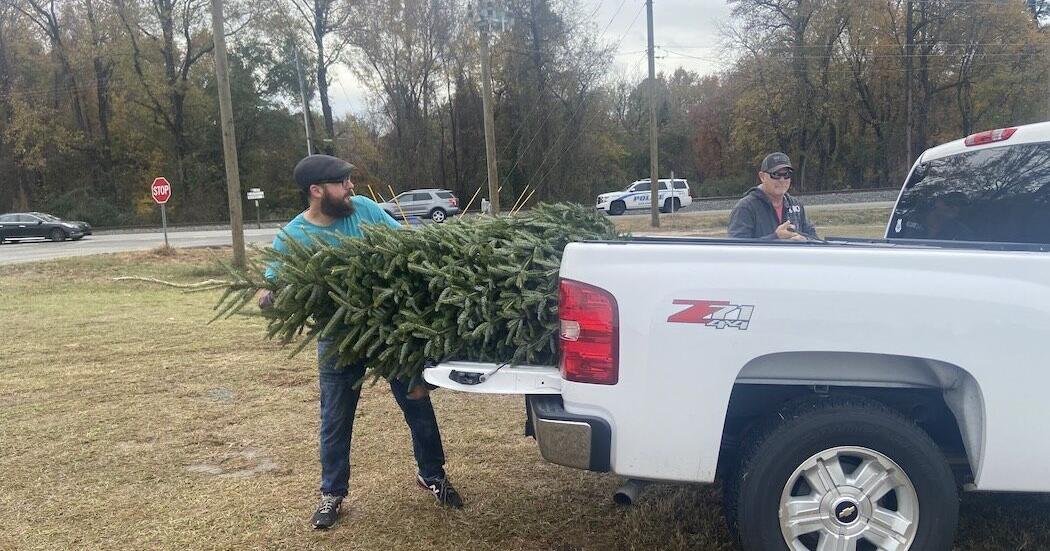 Christmas tree lots stocked for the holidays