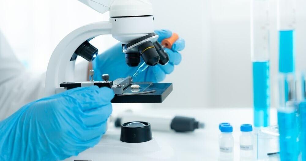 North Carolina Sees 50.0% Decline in Foodborne Disease Outbreaks Since COVID