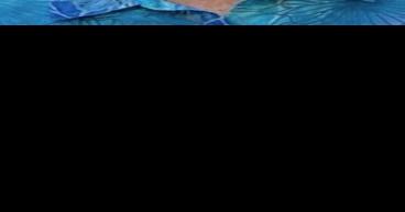 Rose Capps McLamb - Vimarsana News