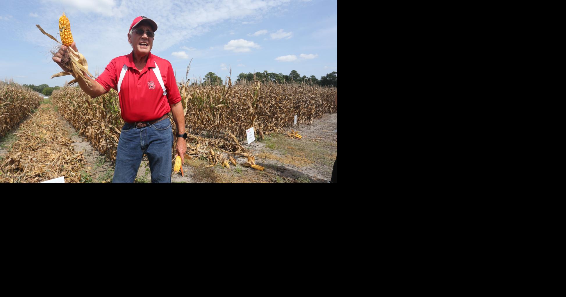 Agriculture fuels Wayne economy | Local News | newsargus.com