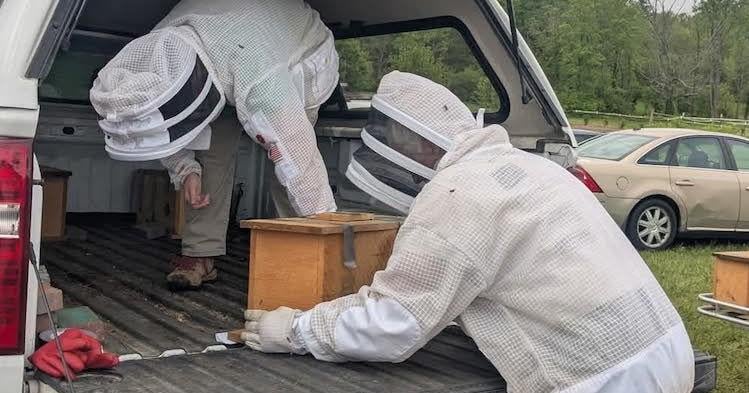Regional honey show to feature beekeeping