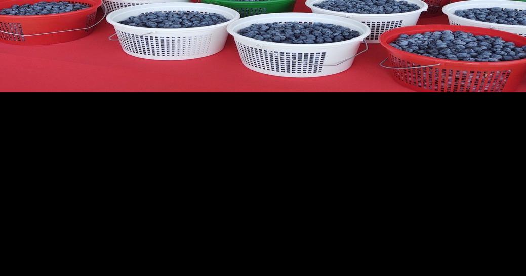 Farmer's market opens Saturday in Mount Olive Local News