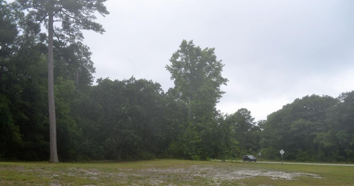 Brunswick County Planning Board approves Seaside Road commercial rezone By Dylan Phillips Brunswick Beacon editor Jul 23, 2026 13 mins ago