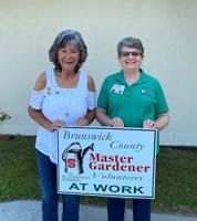 Extension Master Gardener Plant Clinic resumes at Southwest Brunswick Branch Library