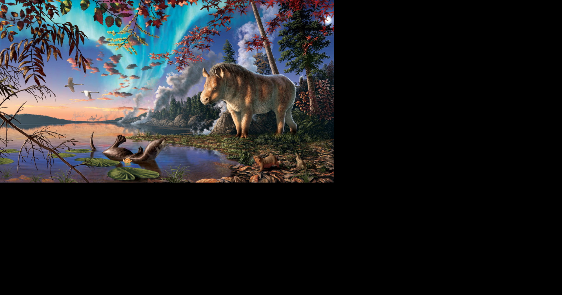 Scientists discover rhino that lived in Arctic 23 million years ago