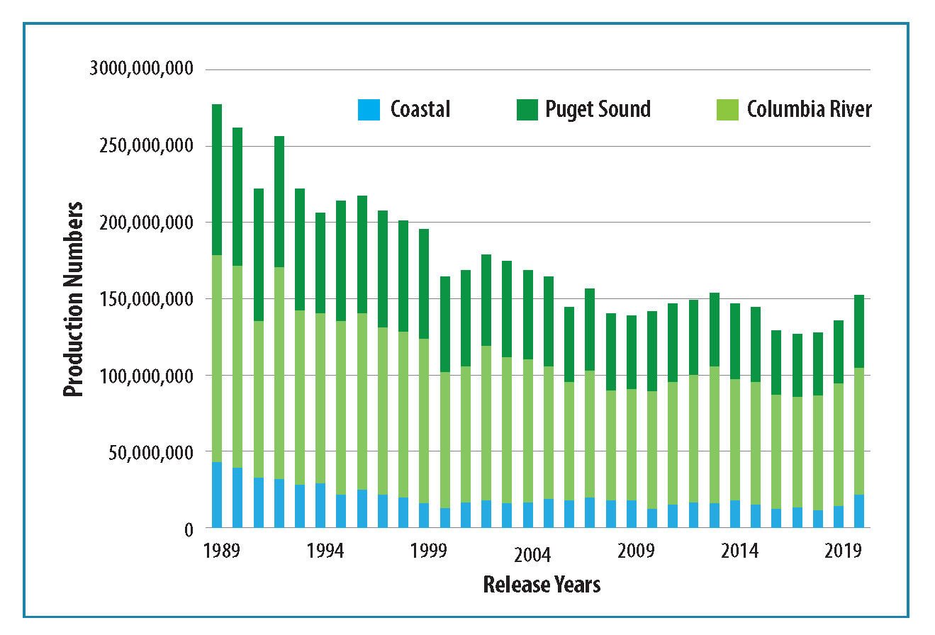 After Long Decline, Washington Hatcheries Ramping Up For Orcas, Fishing ...