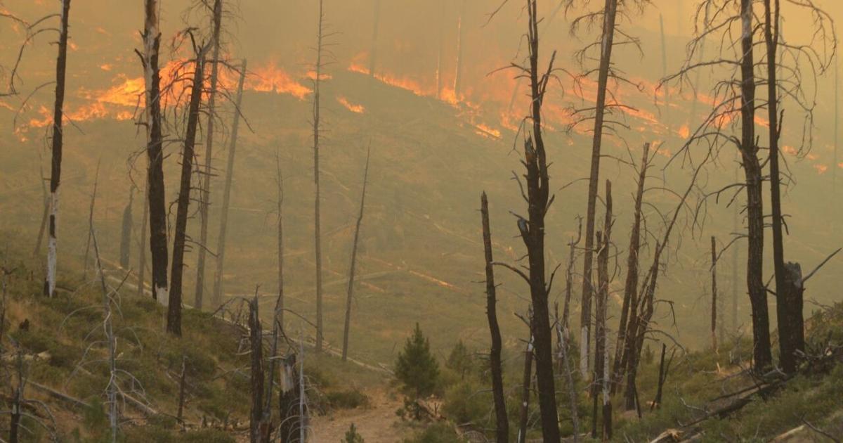 Lightning Strike Rash Dry Conditions, Lightning Strikes Spur Rash of Wildfires Across Oregon ...