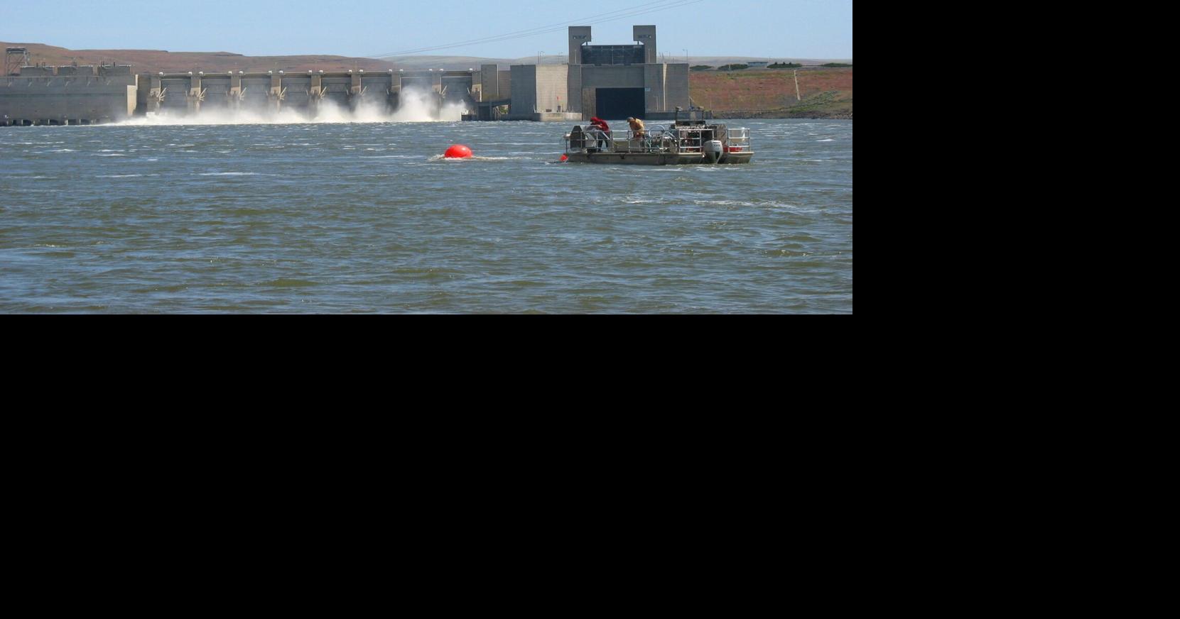 Public Power Advocates Push Back on $800,000 LSRD Study | Environment ...