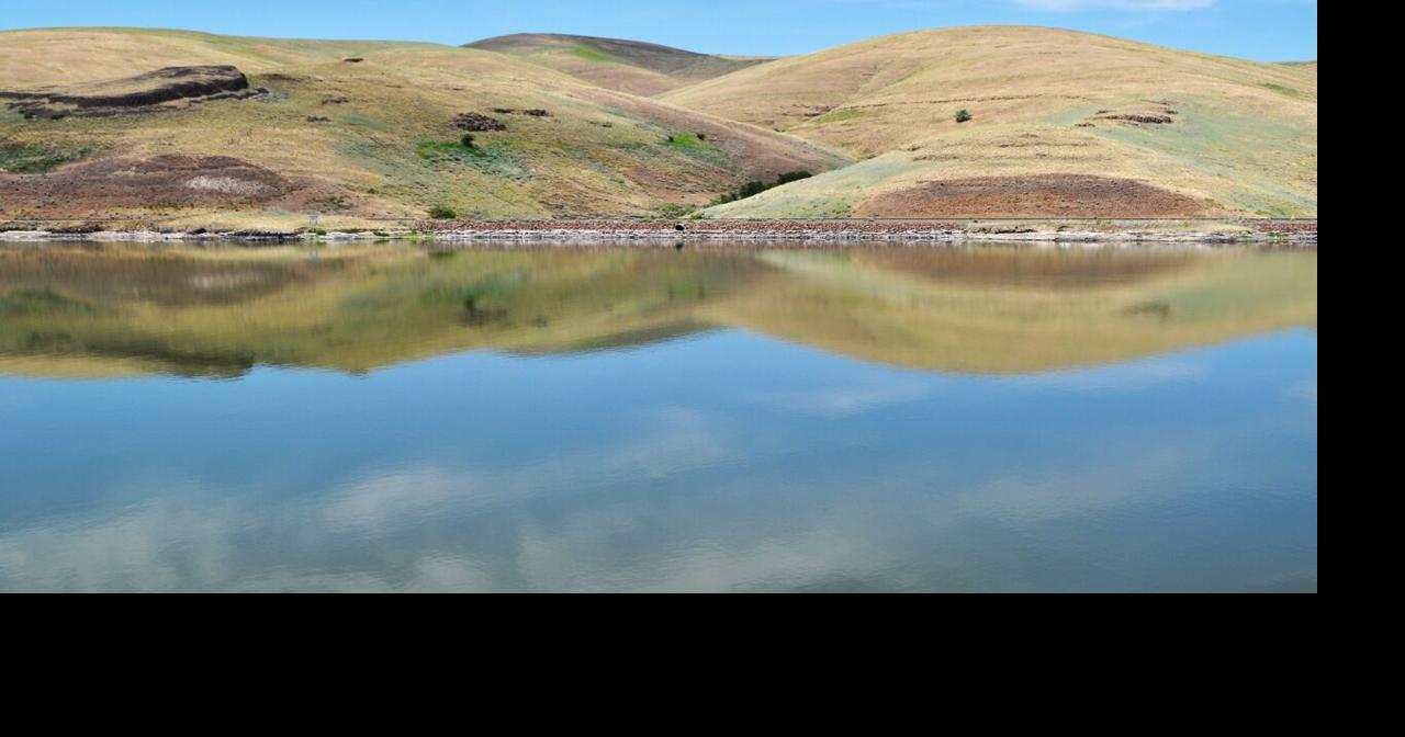 Options Abound in Study for Replacing LSRD Water Supply | NW Fishletter ...