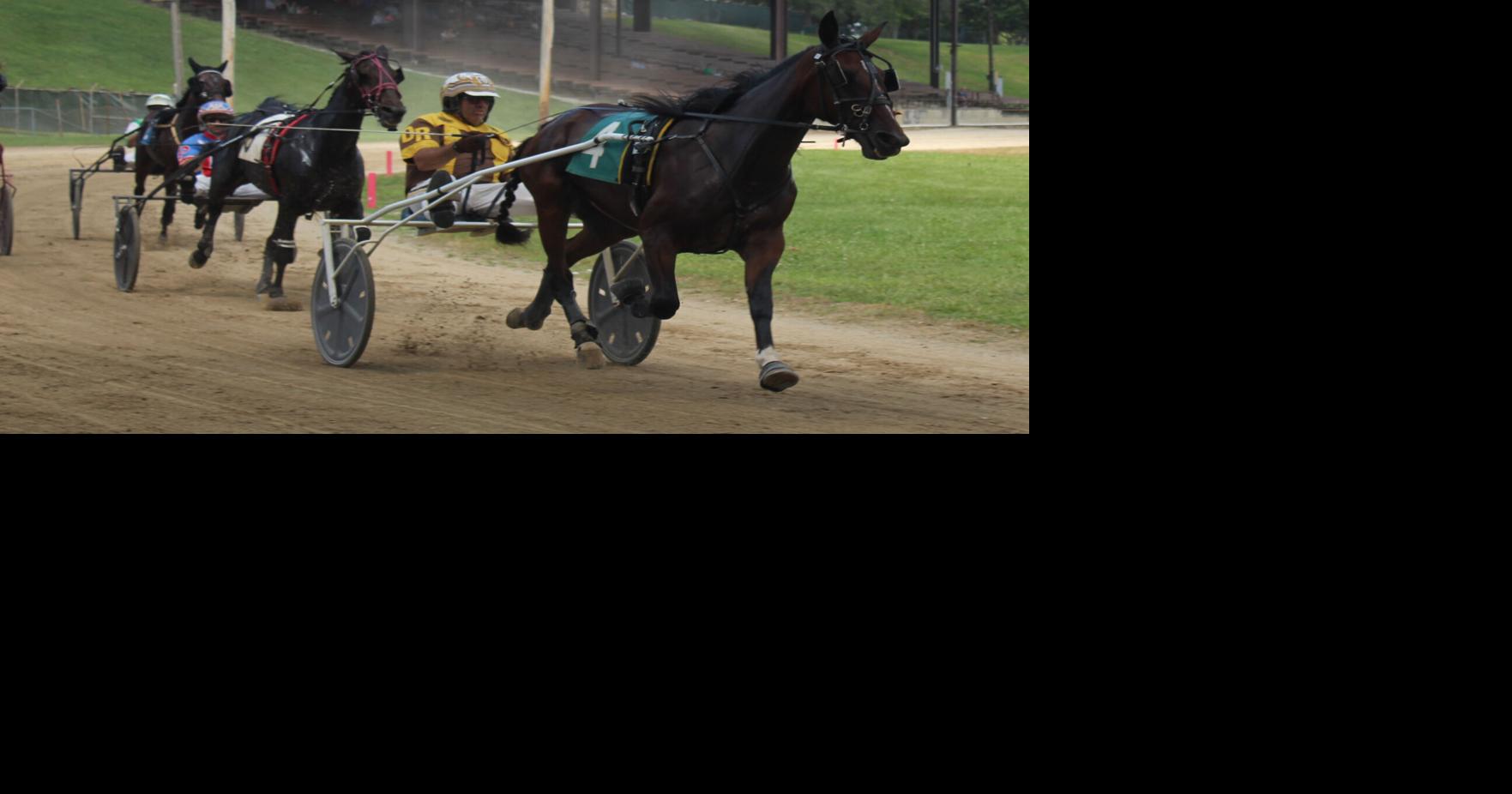 Harness racing at the Fayette County Free Fair | Sports | newsexaminer.com