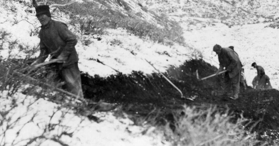 'Boot Hill' provides a scenic resting place for Denali's pioneers
