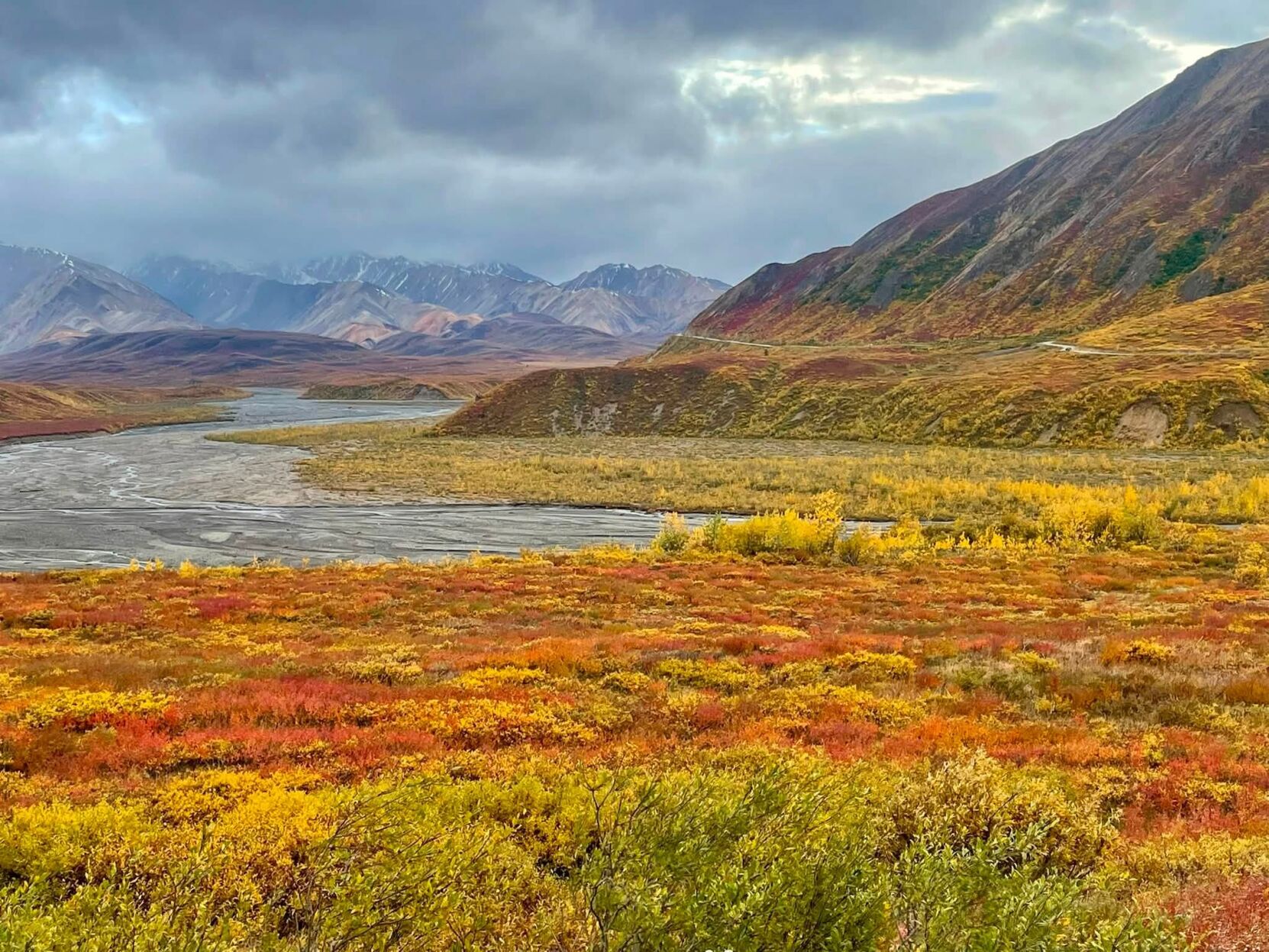 Fall colors boom at Denali National Park | | newsminer.com