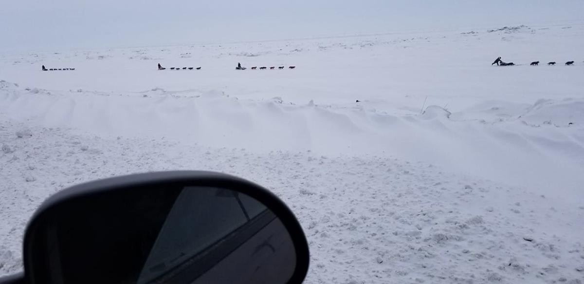 Serum Run Expedition team reaches Nome | Outdoors | newsminer.com