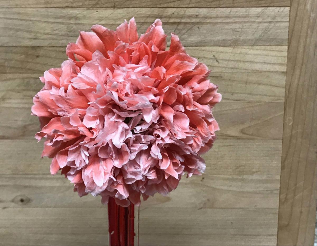 Q&A Epsom salts, favorite flowers and garden gadgets Gardening