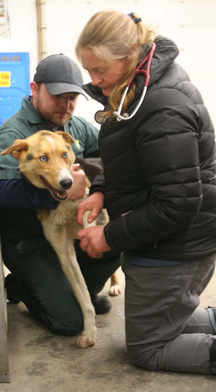 2017 Yukon Quest PreRace Featured