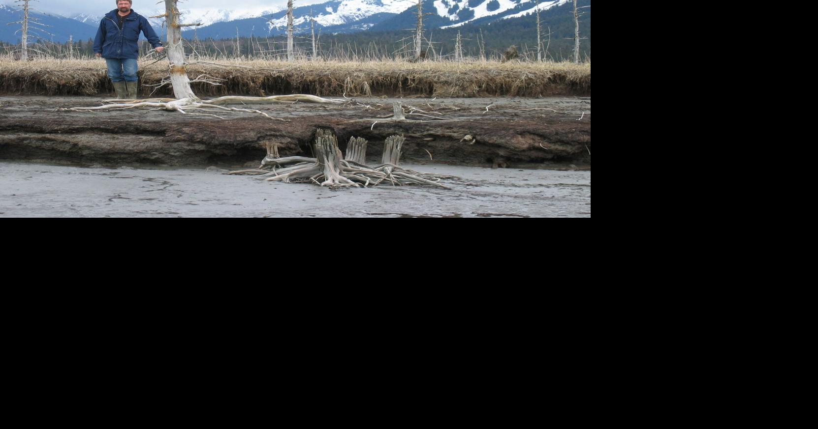 Alaska’s seismic ghost forest | | newsminer.com