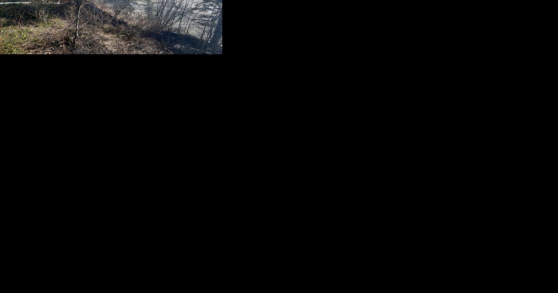 Two dead after plane crashes into bluffs above Tanana River - Vimarsana News