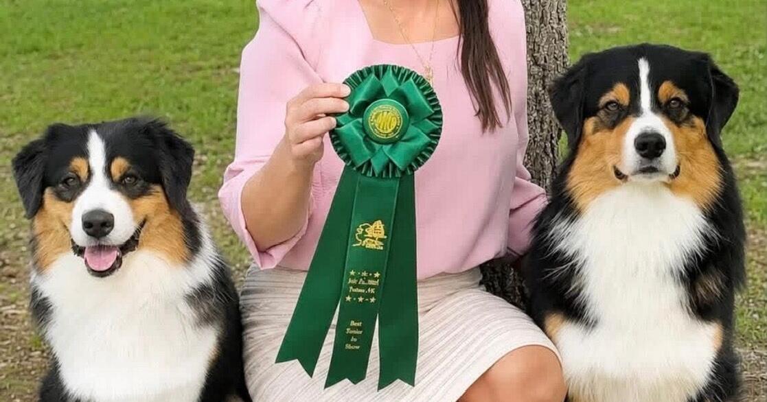 Happy Tails wins best pet spa for second year