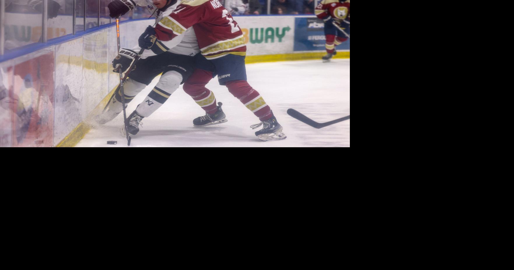 Ice Dogs split with Jr. Blues, pick up commanding 6-2 win in finale ...