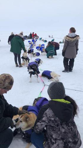Serum Run Expedition team reaches Nome | Outdoors | newsminer.com