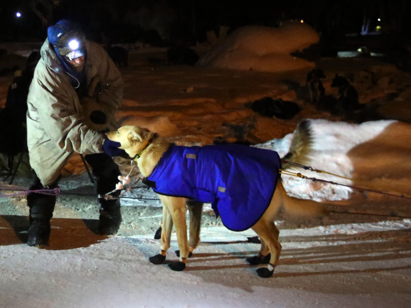 Jessie Holmes wins Yukon Quest 300 Local News