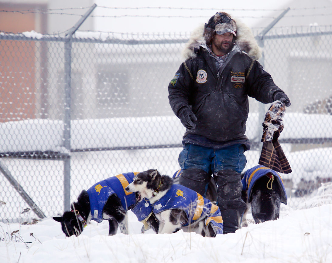 2015 Yukon Quest Carmacks Yukon Quest