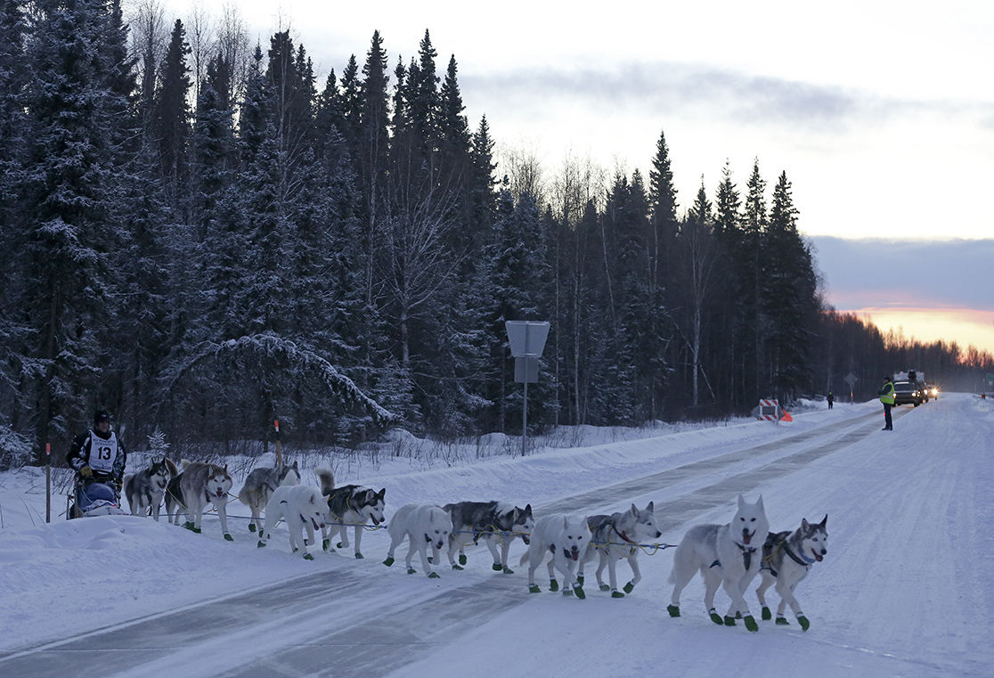 Quest Mushers off Chena Hot Springs Road