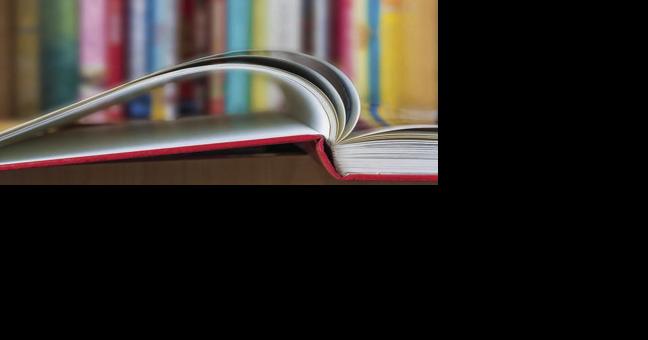 Library Commission reviews proposed library policy changes - Vimarsana News