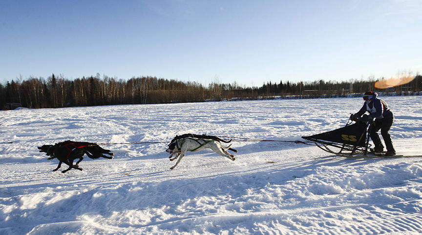 Eagle River Musher Kourosh Partow Wins Heat Of North Pole Long Race 