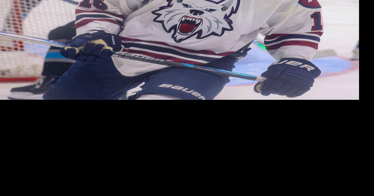 Ice Dogs entertain Mallards for Halloween series | | newsminer.com