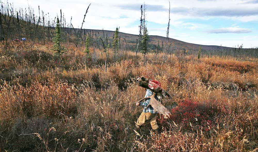 Field dressing a moose key to a successful hunt Outdoors