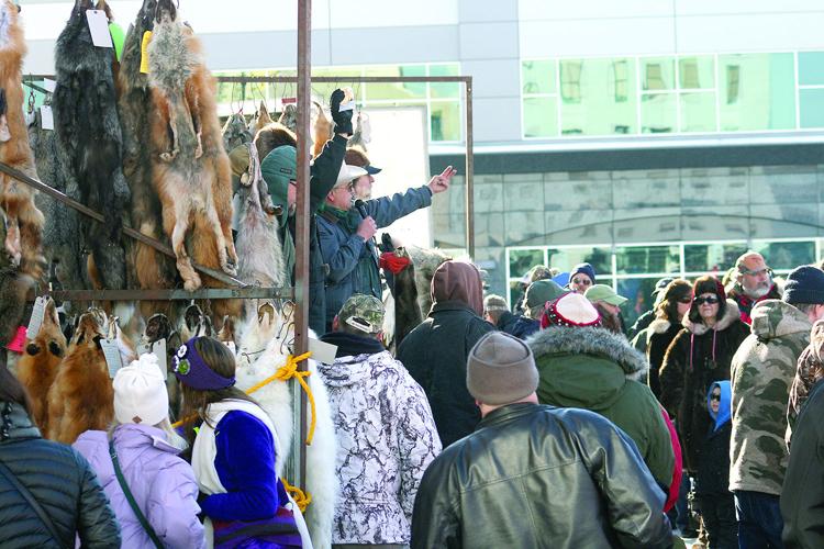 Bear market Topping last year’s trapper association auction would be