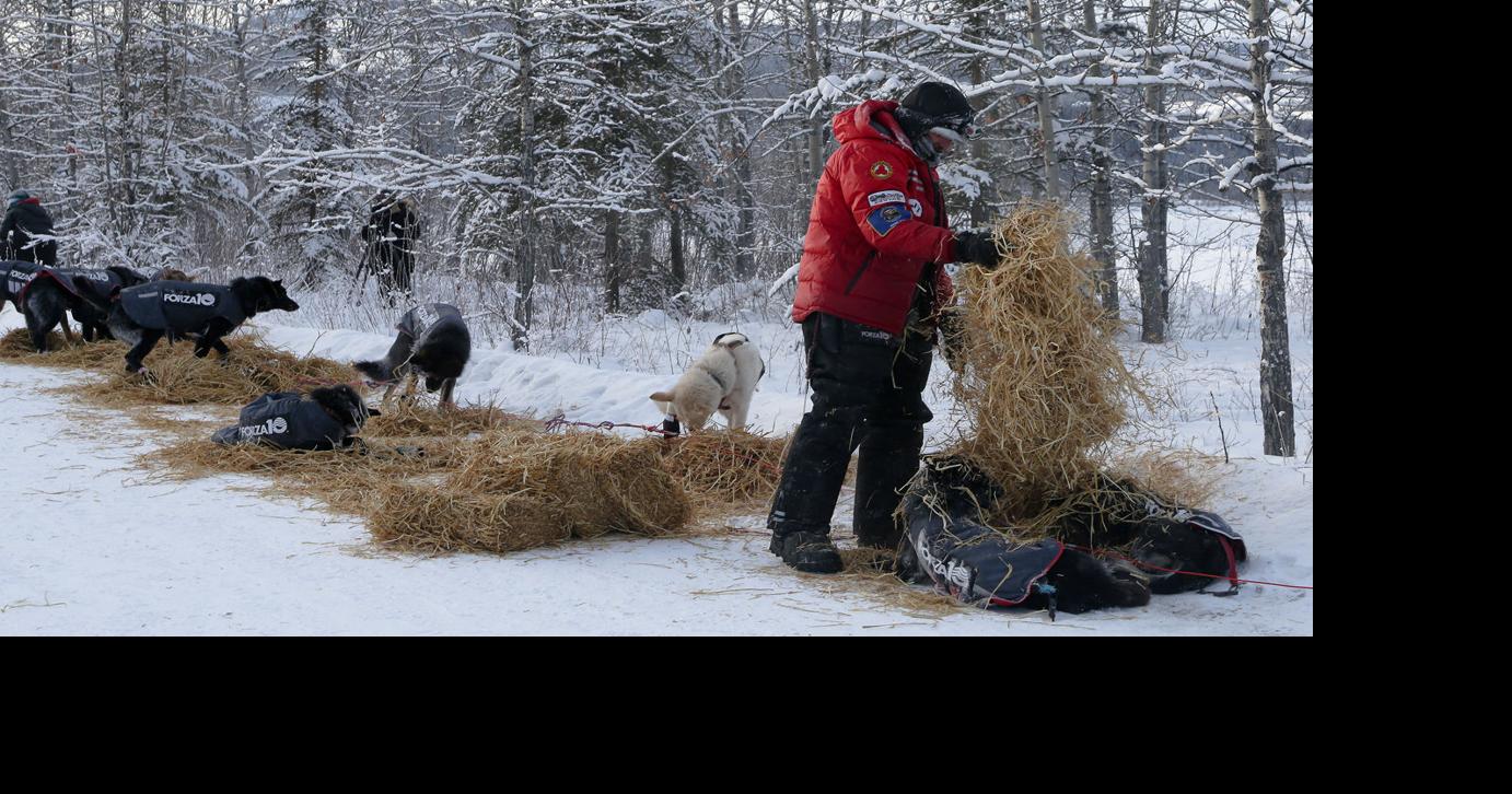 Crowded Carmacks Checkpoint Yukon Quest