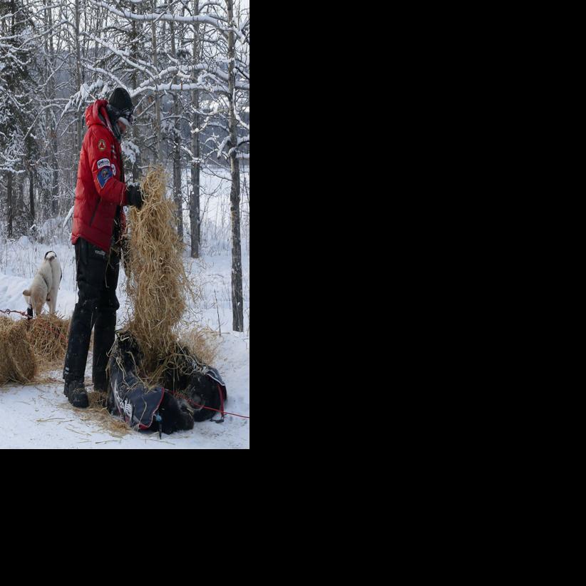 Crowded Carmacks Checkpoint Yukon Quest