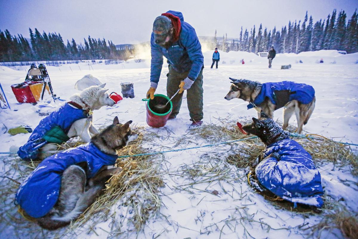2019 Yukon Quest - Two Rivers