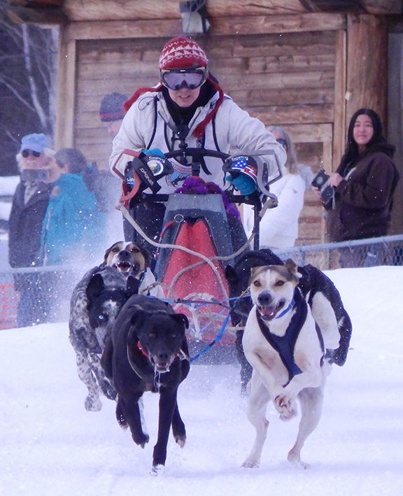 Experience Alaska's state sport dog mushing Visitors Guide