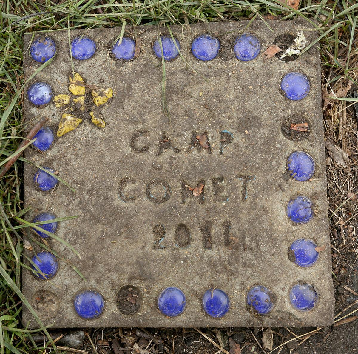 Camp Comet Garden Harvest