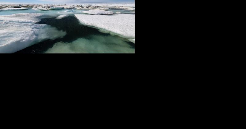 Experts provide a snapshot of annual Arctic report card - Vimarsana News