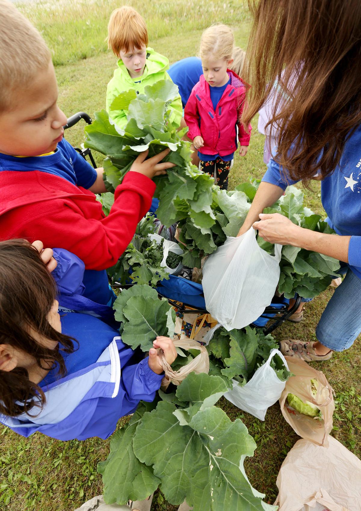 Camp Comet Garden Harvest