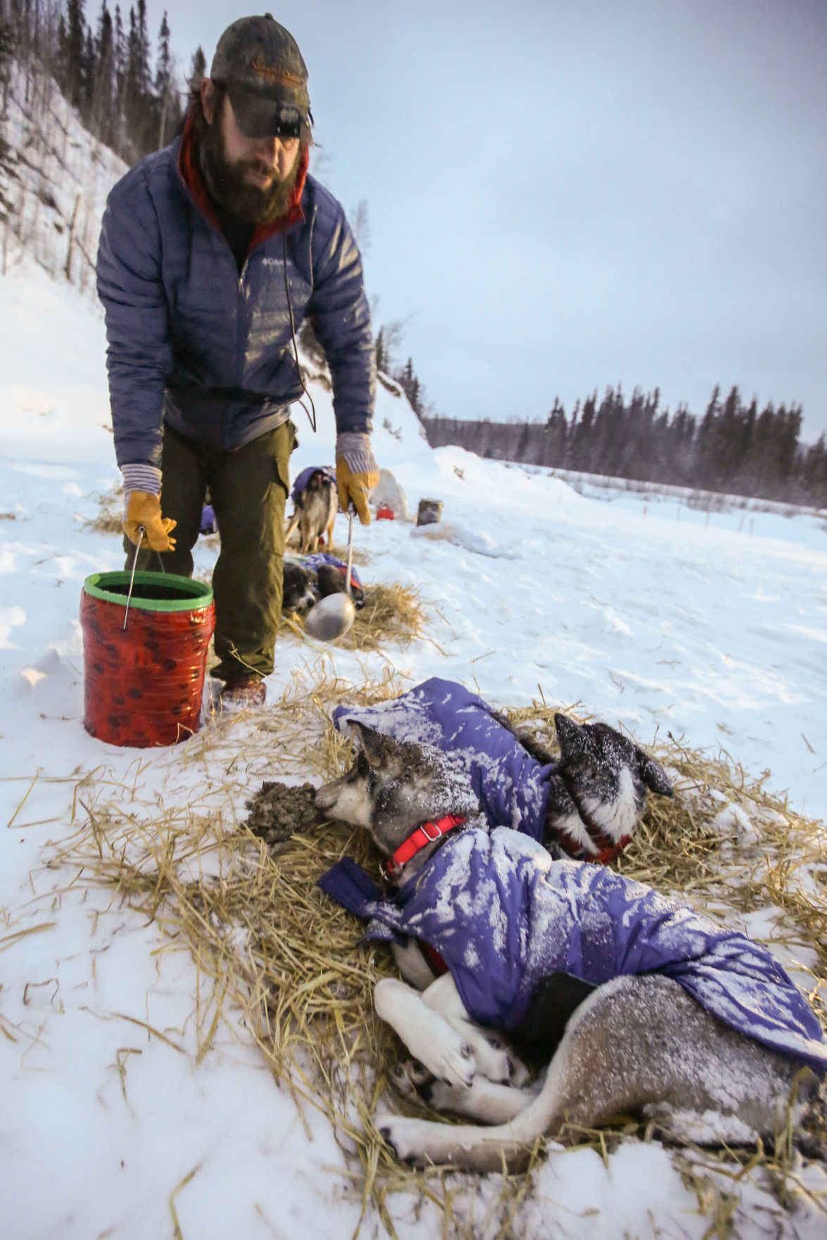 2019 Yukon Quest - Two Rivers