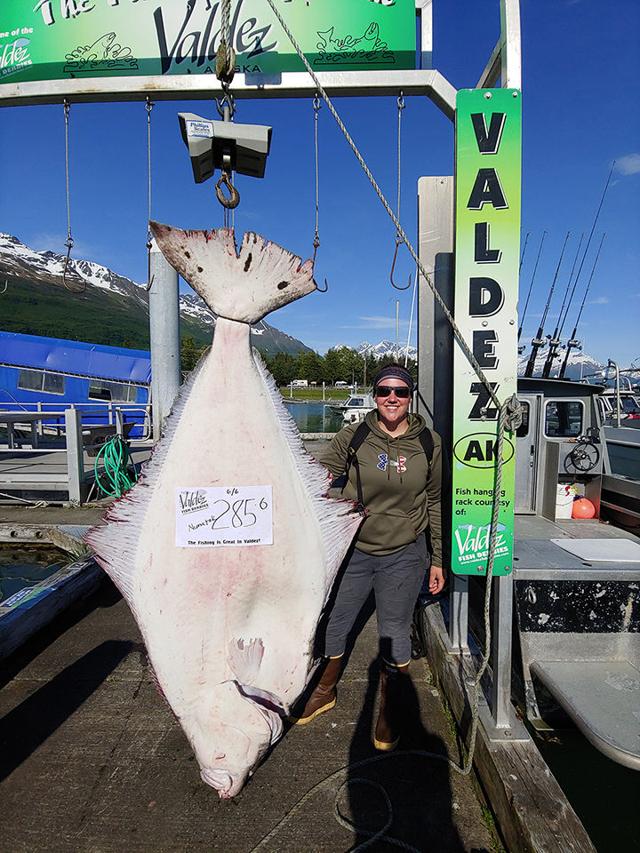 Fairbanks woman reels in 285pound halibut Local News