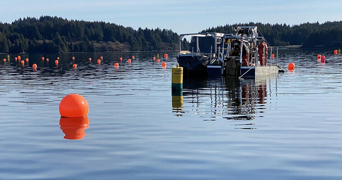 Webinar to look at state's growing mariculture industry