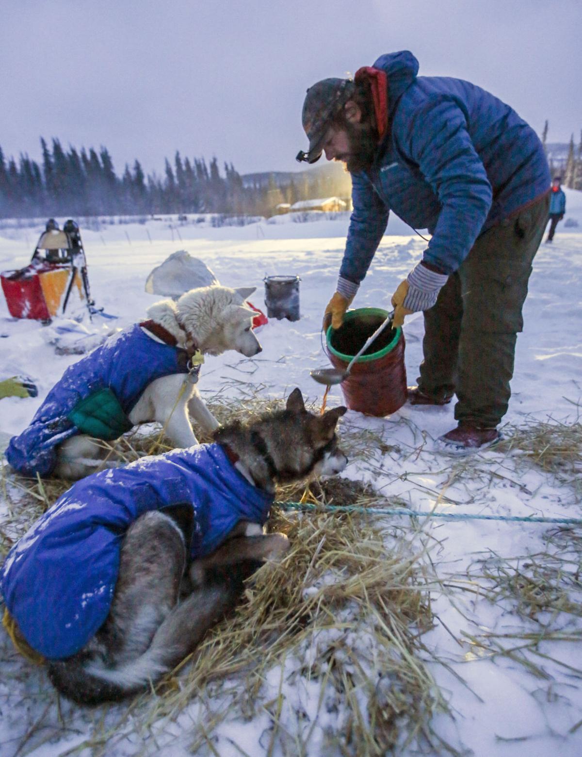 2019 Yukon Quest - Two Rivers