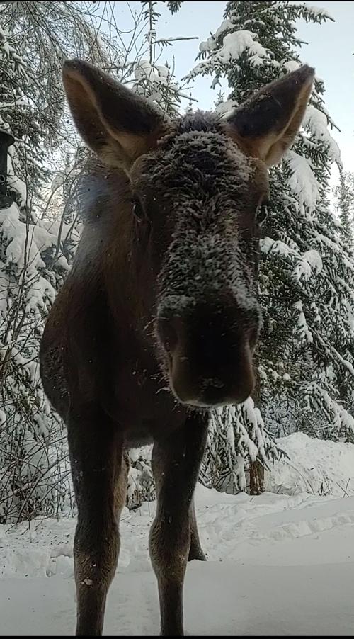 Hey there!
