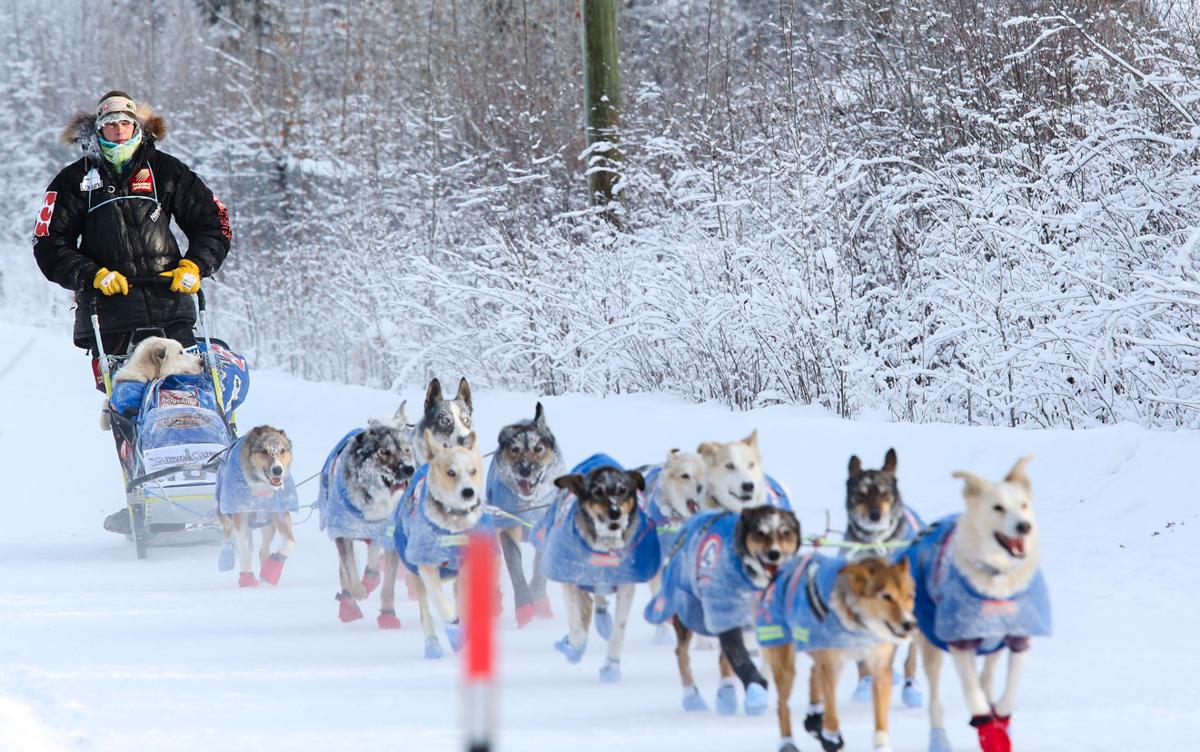 2015 Yukon Quest Carmacks Yukon Quest