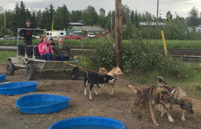 They put the ‘bus’ in ‘busy’ Unexpected visitors were no problem for